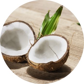kokos-olej-kokosowy-naturalny-składnik-w-kosmetykach