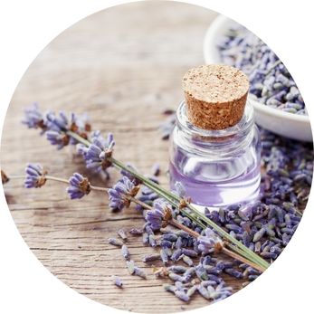 lawenda-olejek-eteryczny-naturalny-składnik