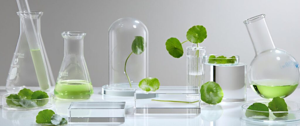 wąkrota-azjatycka-właściwości-roślina-probówki-pielęgnacja-skóry